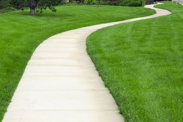 Pathway Replacement in Foley