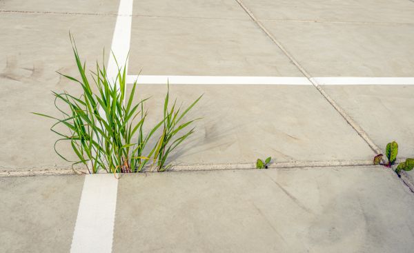 Concrete Parking Installation in Foley